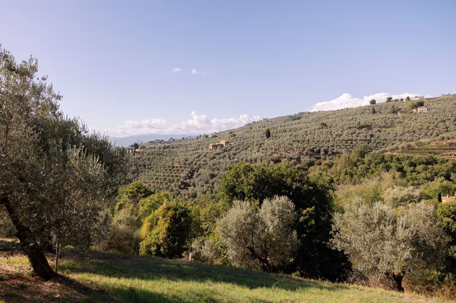 Ślub we Włoszech - Toskania. Zdjęcie nr. 6