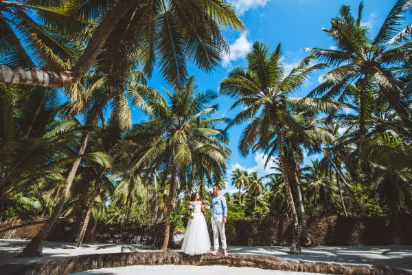 Ślub na Dominikanie Galeria zdjęć Alicja & Paweł