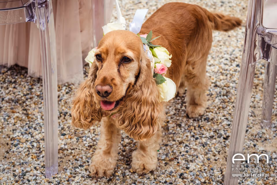 Ślub we Włoszech - Toskania. Zdjęcie nr. 30