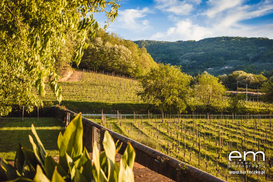 Ślub we Włoszech - Toskania. Zdjęcie nr. 6