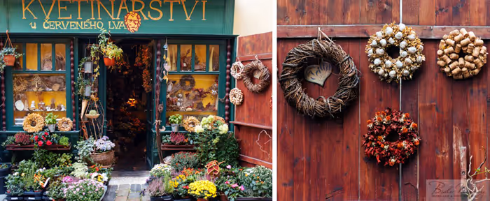 Ślub w Chechach - Praga. Zdjęcie nr. 24