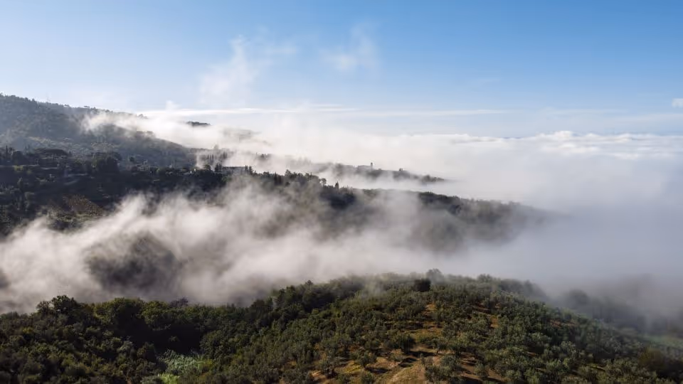 Ślub we Włoszech - Toskania. Zdjęcie nr. 37