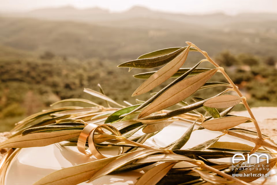 Kreta Taras z widokiem na gaje oliwne (Kreta zachodnia)