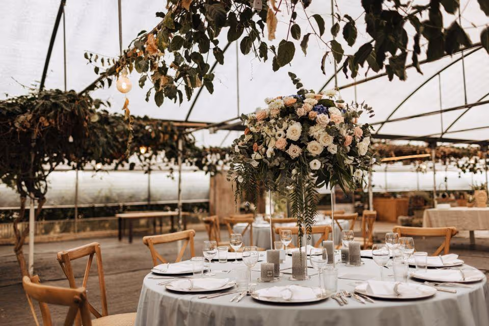 Sycylia Plantacja ziół