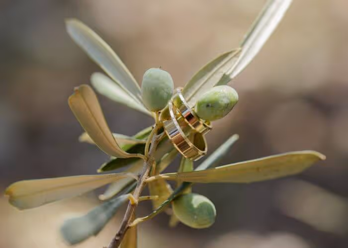 Ślub w Grecji - Zakynthos. Zdjęcie nr. 22