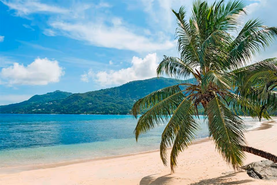 Seszele Piaszczysta dzika plaża