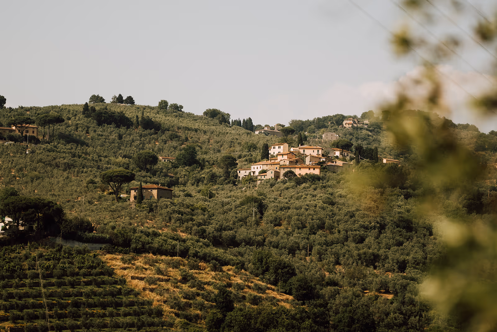 Toskania Renesansowy dom