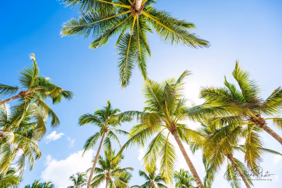 Dominikana Miejsce 1 - Wyspa Saona