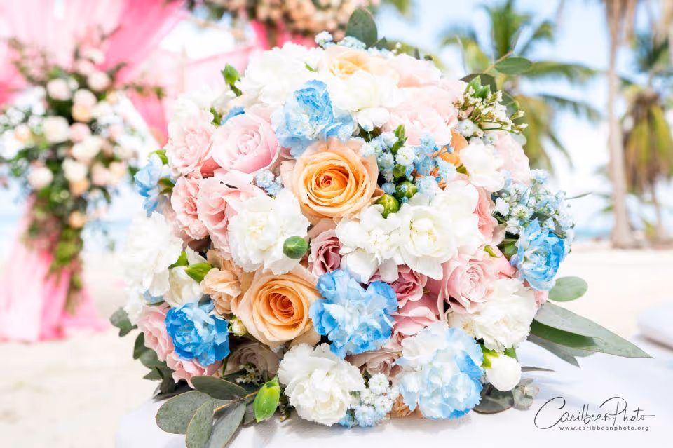 Dominikana Miejsce 1 - Wyspa Saona