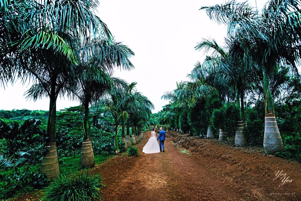 Mauritius Ceremonia na piaszczystej plaży lub w hotelu