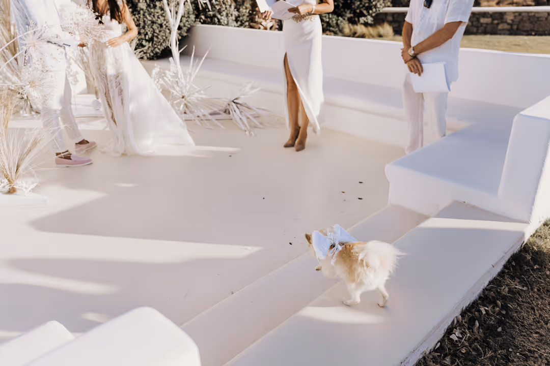 Ślub w Grecji - Mykonos Zdjęcie nr. 28